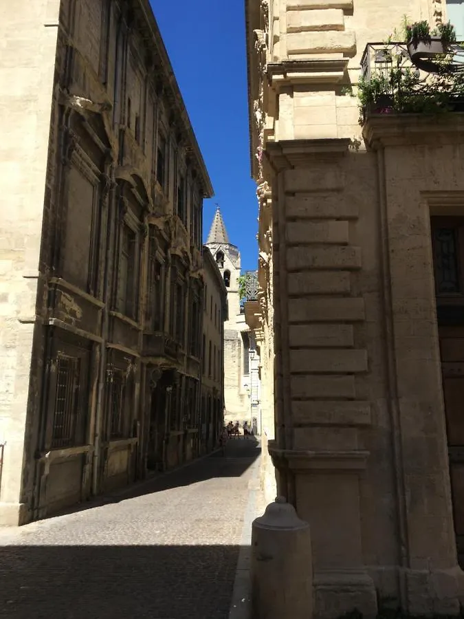 Lägenhet Jardin Au Calme, Au Coeur D'Un Hotel Particulier Avignon